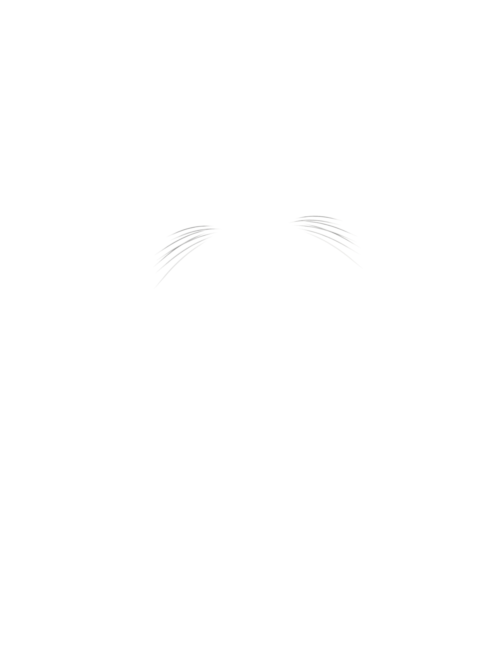 Whisker